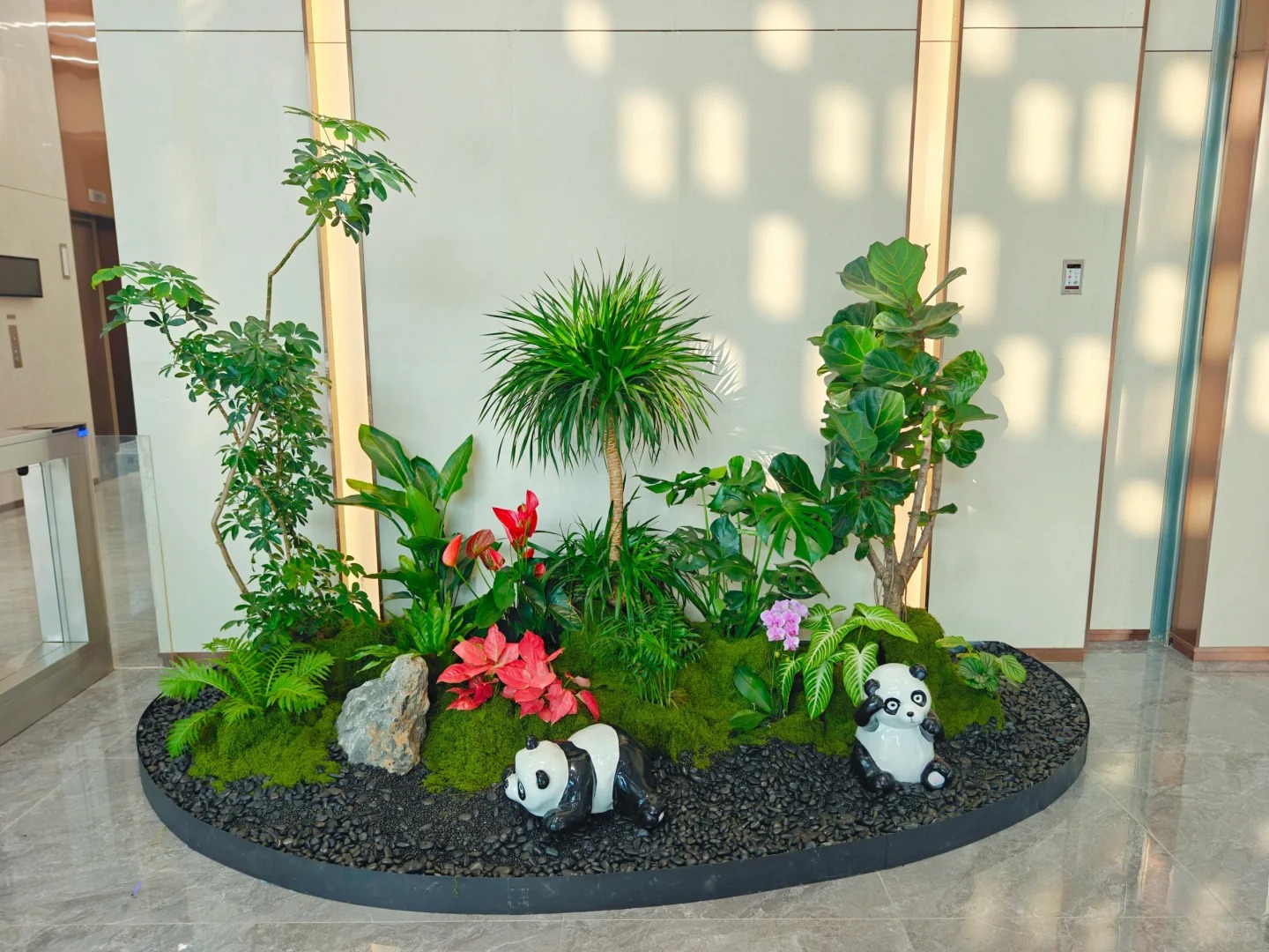 专业植物租赁，宁波鄞州的绿色优选